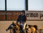 CAletto della Verdina TosTour2013- S5 3157 : Arezzo, Arezzo Equestrian Centre, Caletto della Verdina, Cavalli d'Italia, Toscana Tour 2013, foto di Stefano Secchi ©